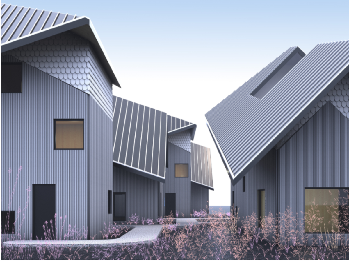 Architect targets Atlanta for striking, 'missing middle